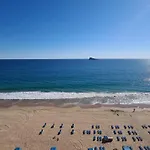 Estudio Las Palmeras 12 If Benidorm