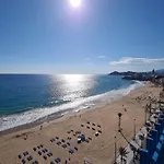 Estudio Las Palmeras 12 If Benidorm