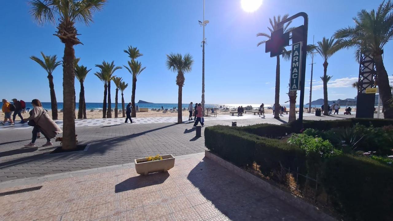 Apartamento Estudio Palmeras 12 If